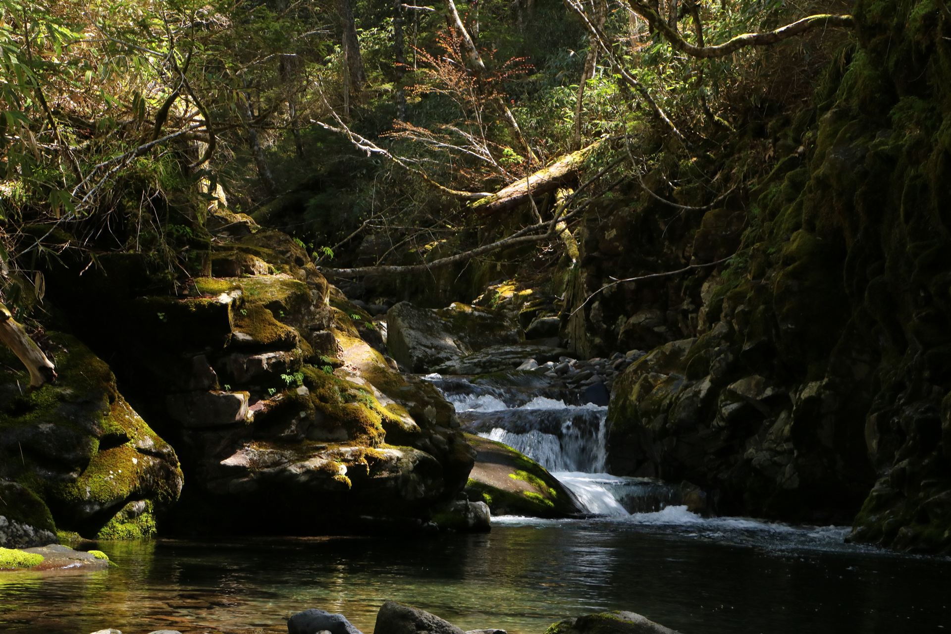 山岳渓流