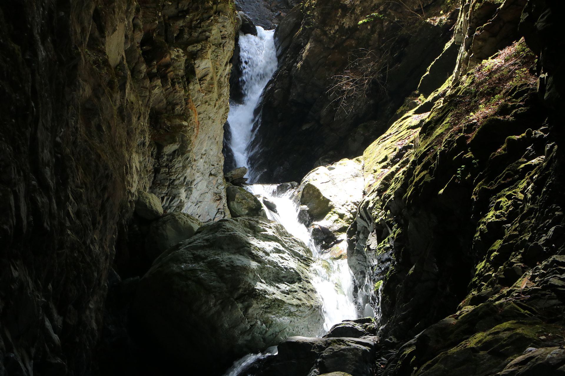 山岳渓流